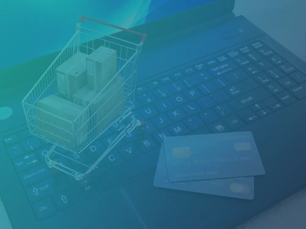 Extensive E-commerce Platform Image